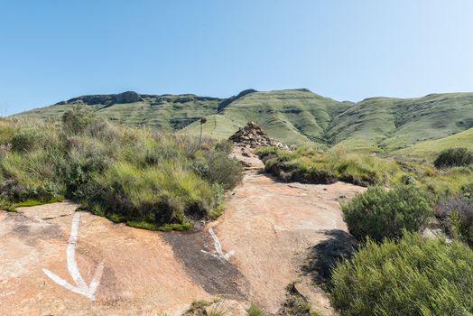 A cairn on the Wodehouse Trail in Golden Gate. The trail is visible on the mountain in the back