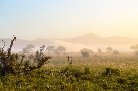 Rise of mist on the savanna and mountains of Tsavo West Park in Kenya