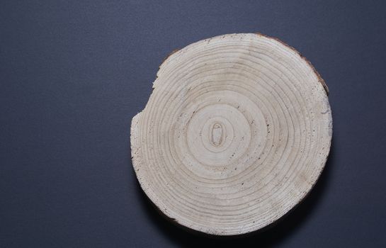 Wooden trunk rings on black background. Colors of nature