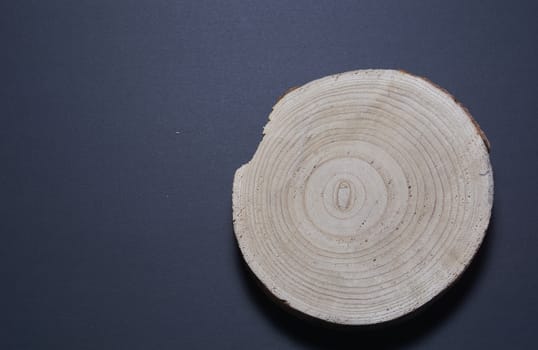 Wooden trunk rings on black background. Colors of nature