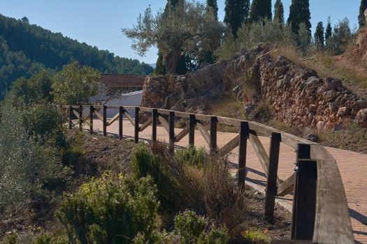 Road to peace and tranquility in autumn. Towards the cypresses