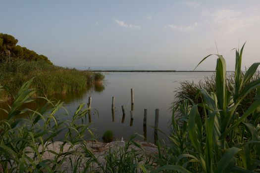 Reflections of the sunset in the lagoon