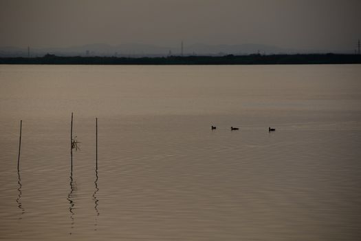 Reflections of the sunset in the lagoon. Sunset lights