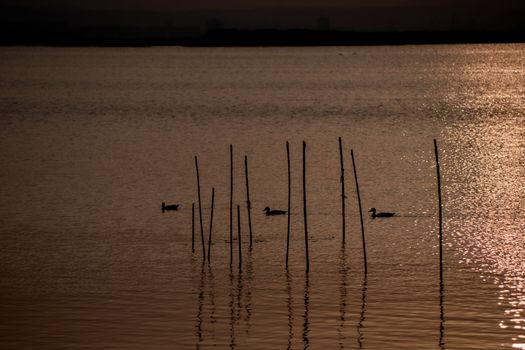 Reflections of the sunset in the lagoon