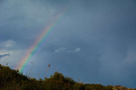 Rainbow appearing behind nature after the storm. Sunset colors