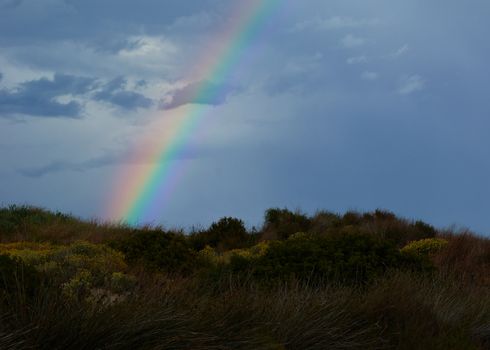 Rainbow appearing behind nature after the storm. Sunset colors