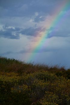 Rainbow appearing behind nature after the storm. Sunset colors