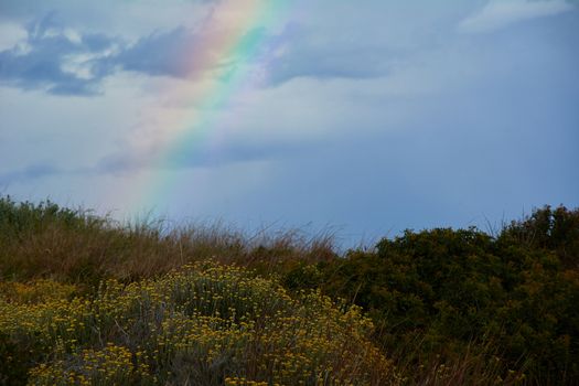 Rainbow appearing behind nature after the storm. Sunset colors