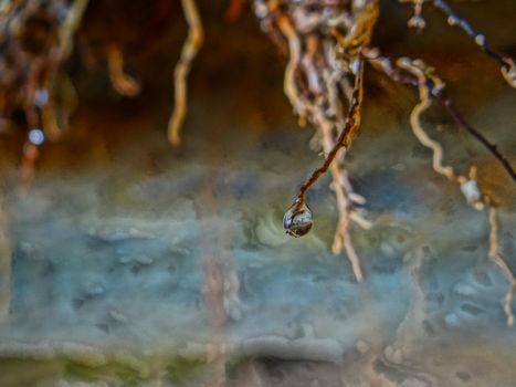 A water drop falling down on a single root in front of a blurry background.