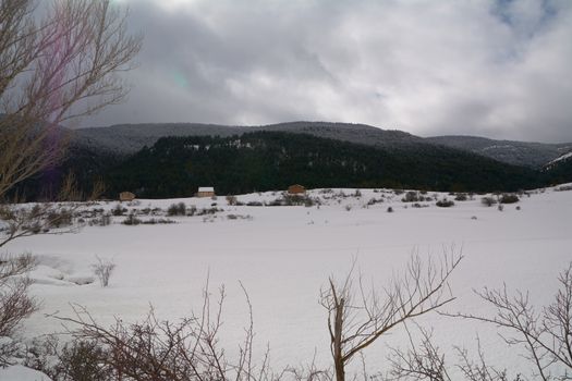 Snowy and cold mountain forest landscape. Loneliness and tranquility