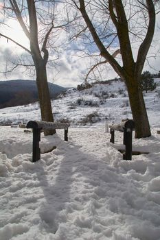 Snowy and cold mountain forest landscape. Loneliness and tranquility