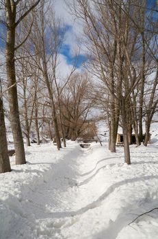 Snowy and cold mountain forest landscape. Loneliness and tranquility