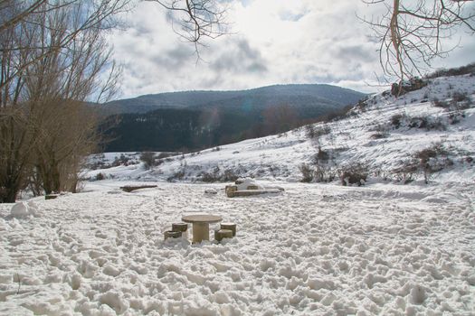 Snowy and cold mountain forest landscape. Loneliness and tranquility