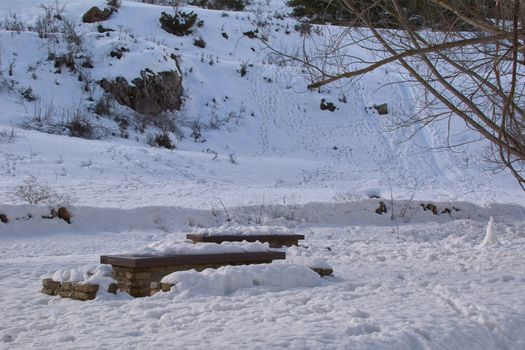 Snowy and cold mountain forest landscape. Loneliness and tranquility