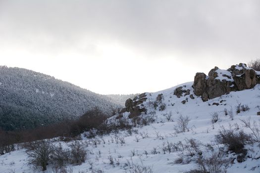 Snowy and cold mountain forest landscape. Loneliness and tranquility