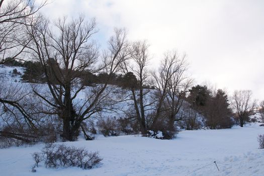 Snowy and cold mountain forest landscape. Loneliness and tranquility