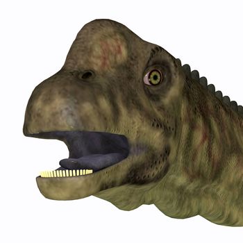 Uberabatitan was a herbivorous sauropod dinosaur that lived in Brazil during the Cretaceous Period.