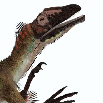 Utahraptor was a carnivorous theropod dinosaur that lived in Utah, United States during the Cretaceous Period.