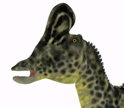 Velafrons was a herbivorous Hadrosaur dinosaur that lived in Mexico during the Cretaceous Period.