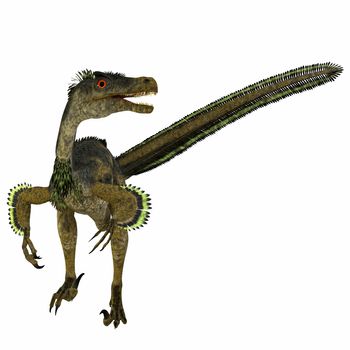 Velociraptor was a carnivorous theropod dinosaur that lived in Mongolia, China during the Cretaceous Period.