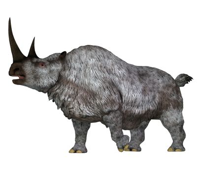 The Woolly Rhino was a herbivorous rhinoceros that lived in Asia and Europe during the Pleistocene Period.