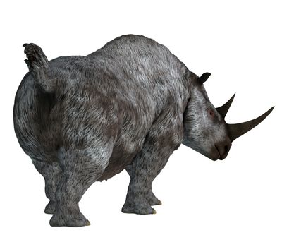 The Woolly Rhino was a herbivorous rhinoceros that lived in Asia and Europe during the Pleistocene Period.