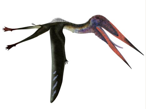 Zhejiangopterus was a carnivorous Pterosaur reptile that lived in China during the Cretaceous Period.