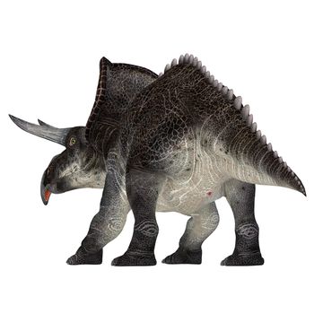 Zuniceratops was a herbivorous Ceratopsian dinosaur that lived in New Mexico, United States during the Cretaceous Period.