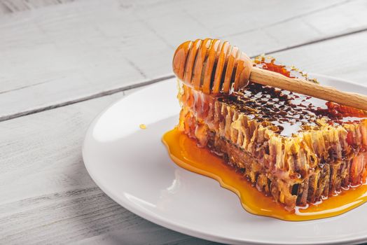 Delicious honeycomb on white plate with wooden honey dipper