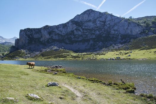 Lakes in the high mountains on a summer day, Colors of summer