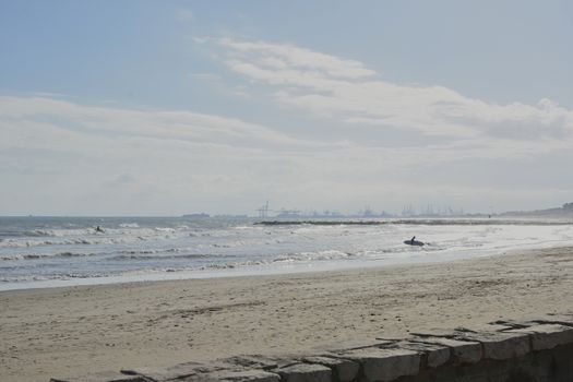 Group of surfers on the beach on a summer day. Colors of nature