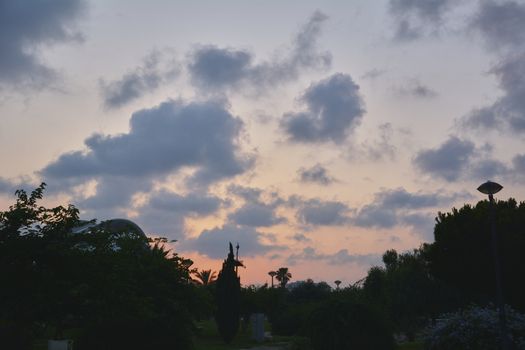 Nice sunset in a park in a city, Colors of nature