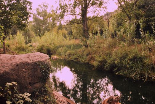 Calm water river through lush vegetation. Colors of nature