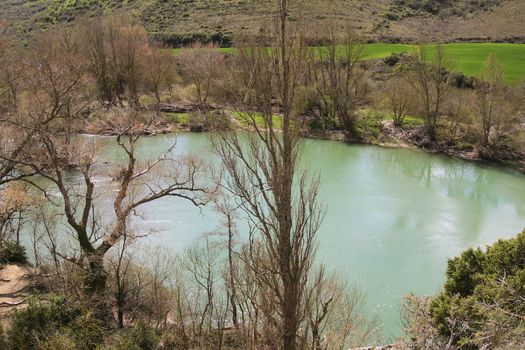 River of calm waters through the trees, green meadows and trees without leaves