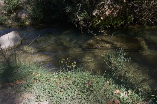 Stream of calm water through the vegetation. Fence plants and rocks in between