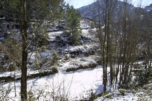 Snowy mountain landscape on a sunny day. Snowy trees and bright blue sky with frozen riverbed