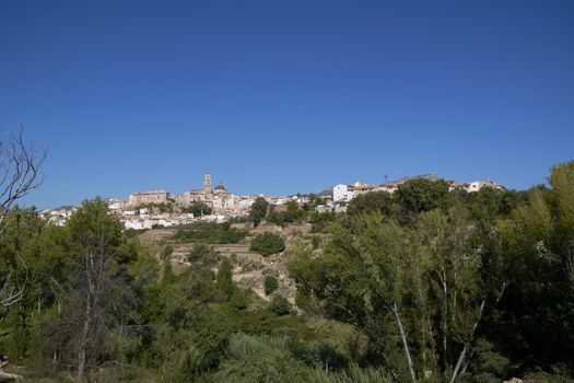 Mountain village among trees with bright blue sky, pine trees,