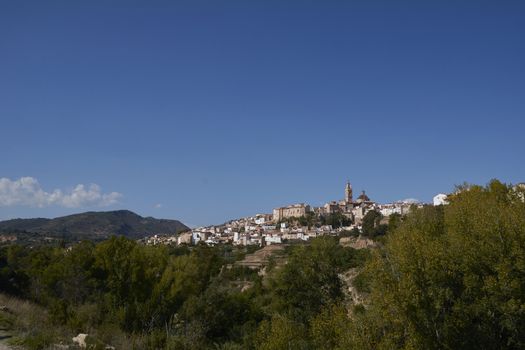 Mountain village among trees with bright blue sky, pine trees,