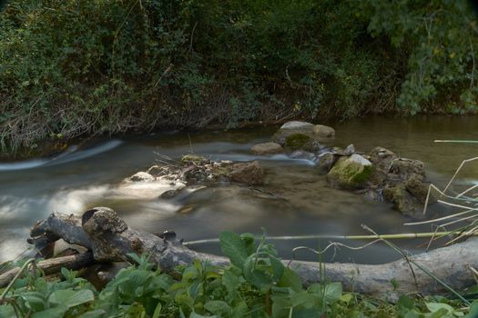 Stream with calm and transparent waters, small waterfall, vegetation and bright light