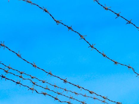 Selective focus. Security Fence In Prison. Lost freedom behind barbed wire. Old rusty barbed wire in the forest close up. Private property. Blue sky on background