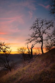Color image of a beautiful sunset overlooking the Bald Hills in Northern California.