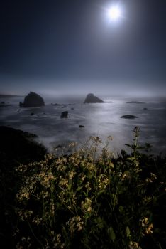 The Night Sky at a Northern California Beach, Humboldt County, California.