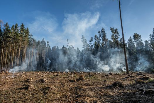 Big field with smoke after wildfire. All grass and trees are burnt after forest fire