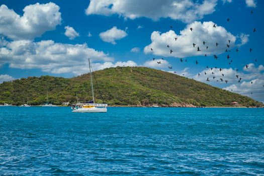 A catamaran anchored in the blue water off a green Caribbean island