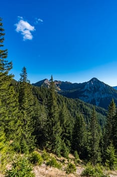 Beautiful mountain tour to the Aggenstein at sunset in the Tannheimer Tal