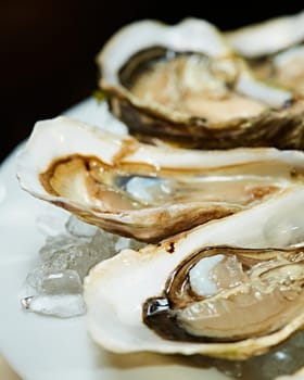 Fresh oysters on ice with lemon close up. Shallow dof