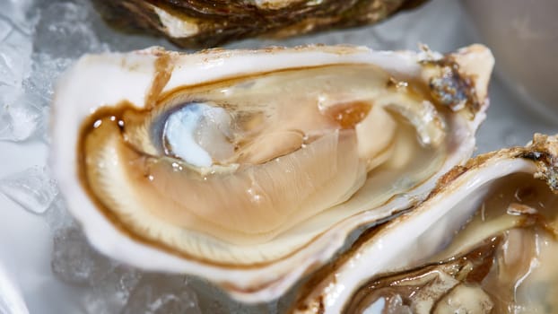 Fresh oysters on ice with lemon close up. Shallow dof