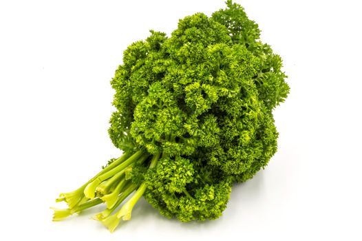 Bunch of fresh curly parsley on a white background