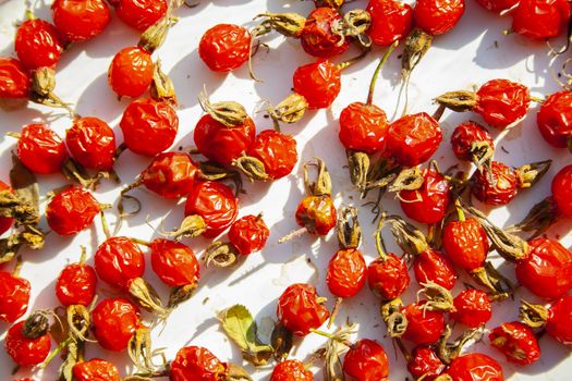 Many rose hips are dried in the sun macro close up. Healthy natural vitamin berries for tea. Natural medical antioxidant