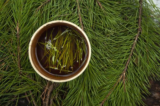 Cup of black tea with pine tree needles in it on green needles background top view copyspace. Healthy beverage tea in old cup.